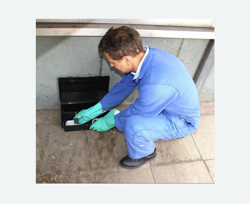 Уничтожение мышей в Оханске Уничтожение мышей