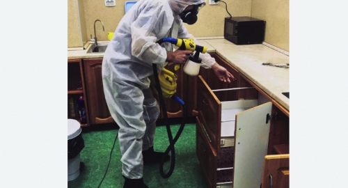 Дезинсекция квартиры. Оханск