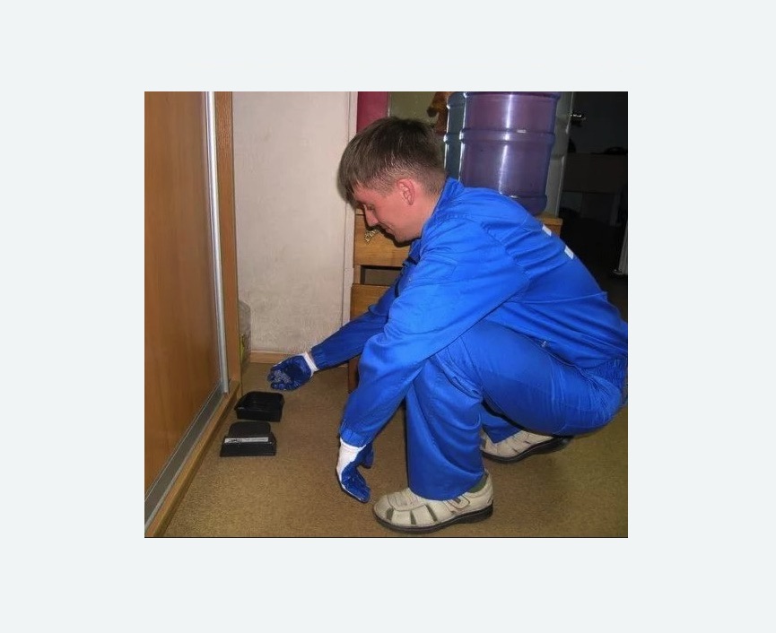 Дератизация крыс в Оханске