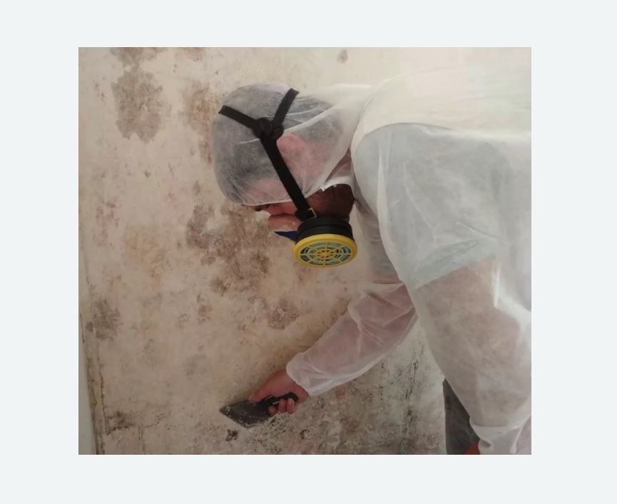 Обработка стен от плесени в Оханске