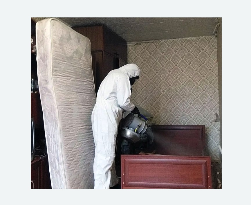 дезинфекция от клопов в Оханске