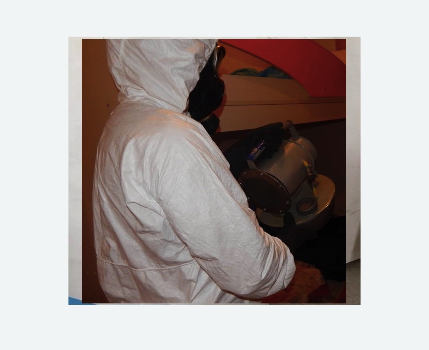 Дезинфекция от муравьев в Оханске